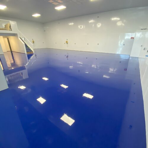 Commercial Flooring Blue Showroom